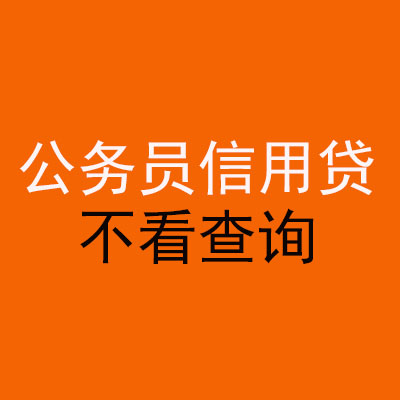 双台子公务员信用贷款