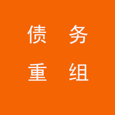 双台子个人债务重组优化
